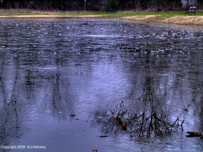 Burns Park Ice