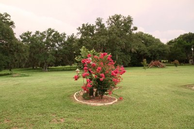 IMG_2423.JPG