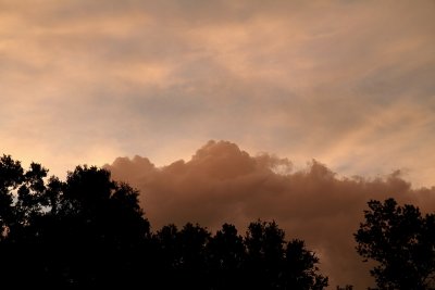 IMG_2434.JPG