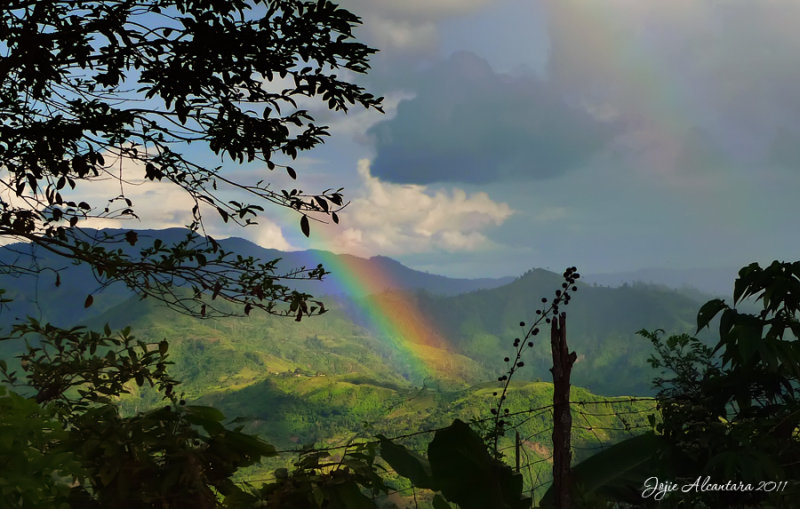 Rainbow