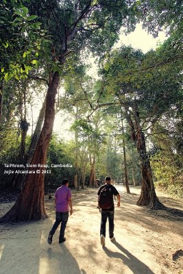 The scenic trail to Ta Phrom temples
