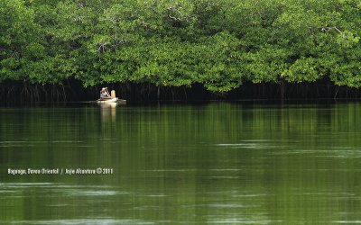 Mangrove Sanctuary, Baganga