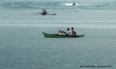 Boston, Davao Oriental