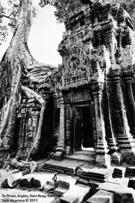 Ta Phrom, Angkor