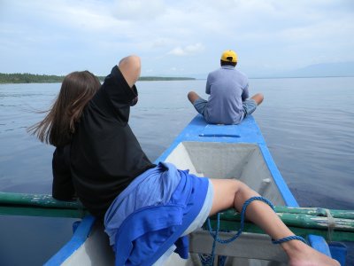 Chasing Dolphins (Mati)