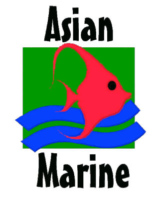 Asian Marine