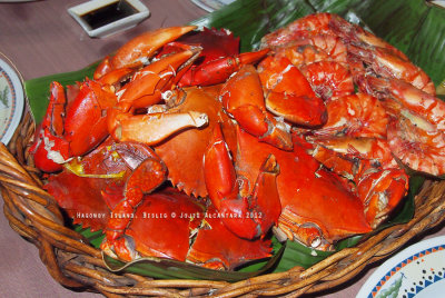 Food trip with delicious crabs