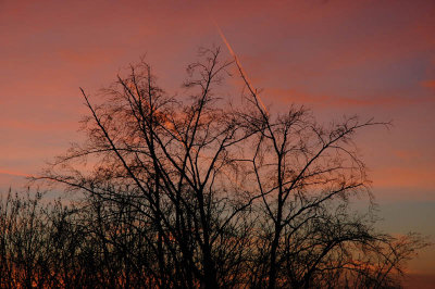 From my window this morning (December 21, 2007)