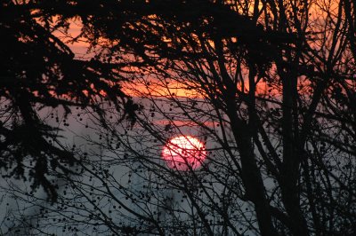 From my window this morning (December 23, 2007)