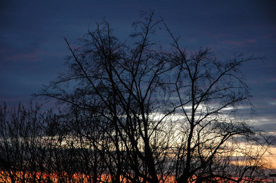 From my window this morning (January 11, 2008)
