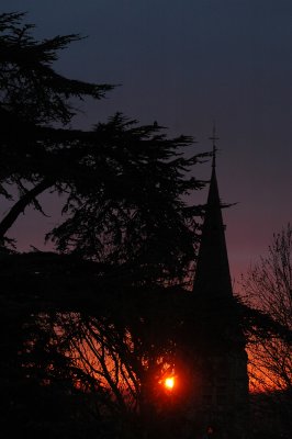 From my window this morning (January 23, 2008)