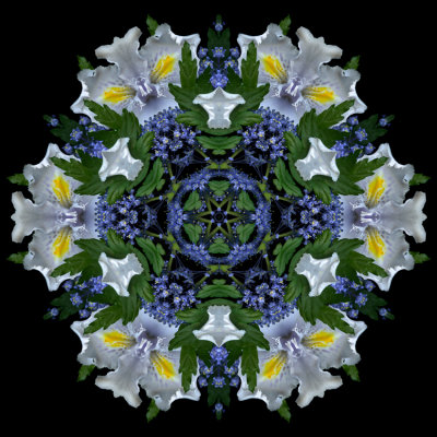 g4/23/841223/3/141270342.HcaZRDLz.jpg