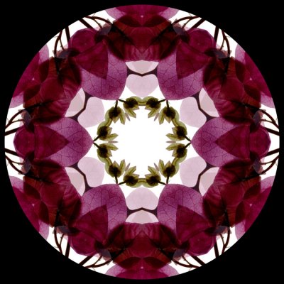 g4/23/841223/3/141270427.8LK7G1dH.jpg