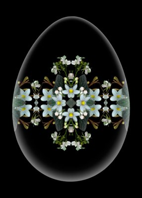 White_Egg-Marsha_Tudor