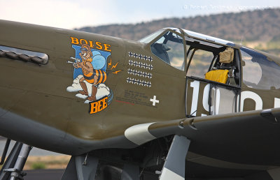 Boise Bee P-51C
