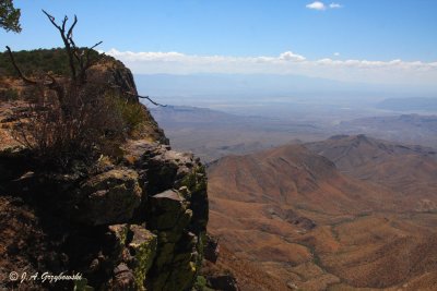 view from the South Rim