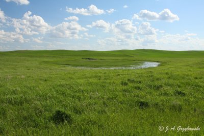 Prairie landscape.
