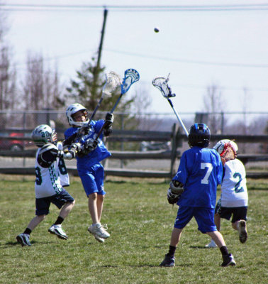 IMG_2441.JPG