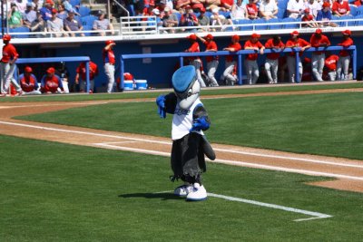 IMG_9568.JPG