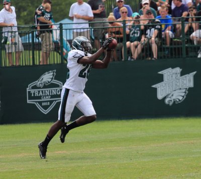 Eagles_Training_Camp_080312_025.JPG