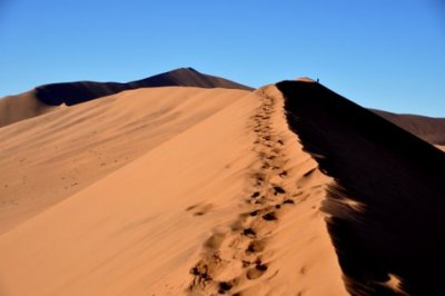 DSC_0177.JPG