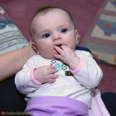 pb_8469a.jpg