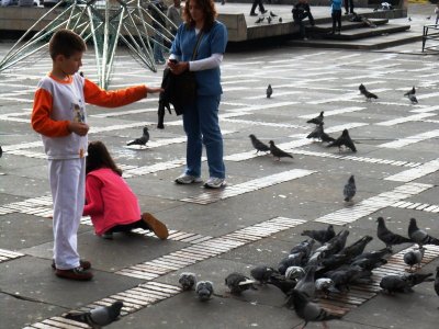 Kids Feeding Pigeons - Plaza de Bolivar.jpg