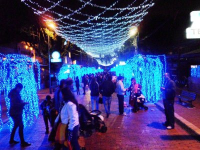 Zona Rosa Christmas at Night (1).jpg