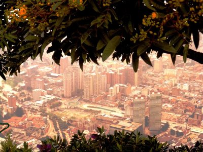 Bogota Through the Trees (1).jpg