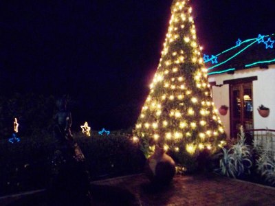 Christmas Decorations - Monserrate (6).jpg