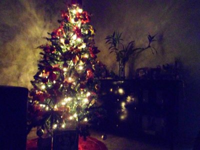 Christmas Tree at Alexander's House.jpg