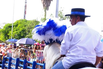 Lead Horse - El Salsdromo - Feria de Cali (1).jpg