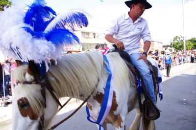 Lead Horse - El Salsdromo - Feria de Cali (2).jpg
