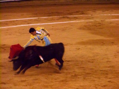 Plaza de Toros Gallery