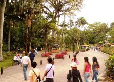 Jardin Botanico de Medellin.jpg