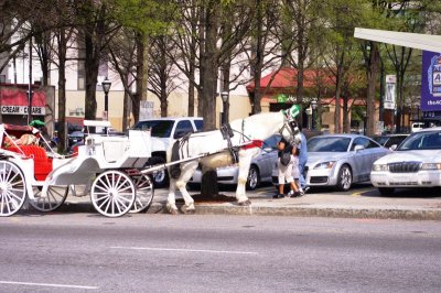 Saint Patrick's Day Horse Ride.jpg