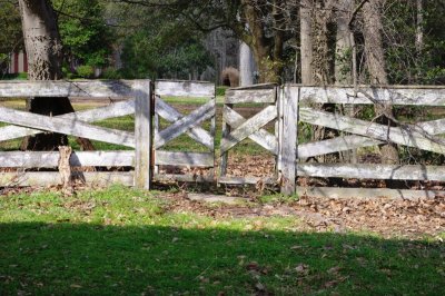Gate to Market.jpg