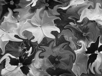 Floating Flowers in Aspic - BW