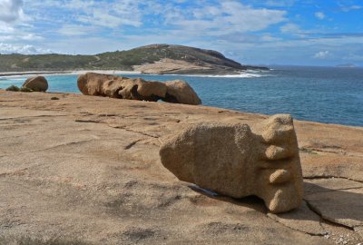 Fossil Bigfoot ?