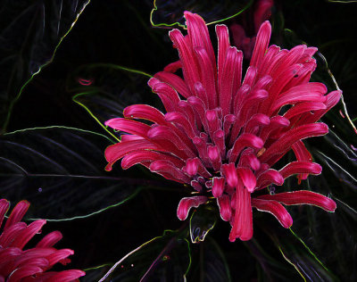 Wet Day Experimental 1