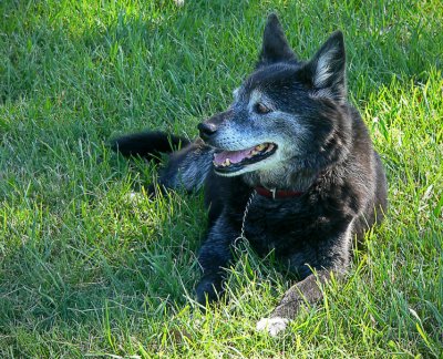 Old Lucy