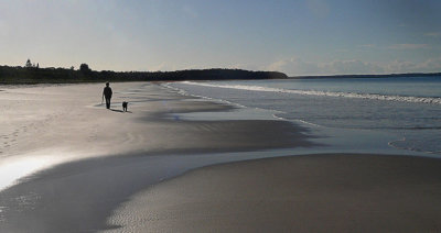 Arvo Beach Walk