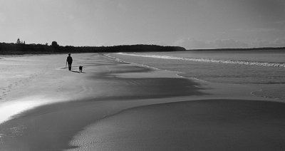 Arvo Beach Walk  BW