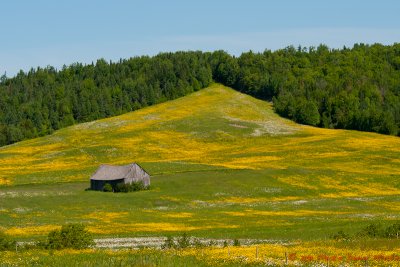 Paysages Canadien / Canadian Landscapes