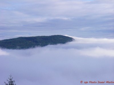 Brouillard sur Saltspring Island in morning fog