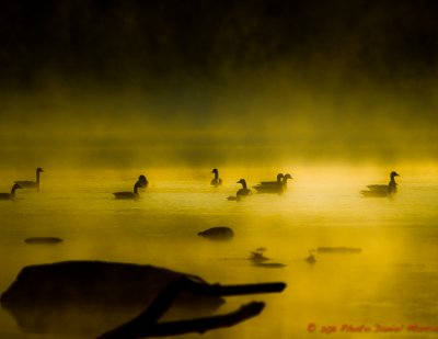 Rivire Yamaska River