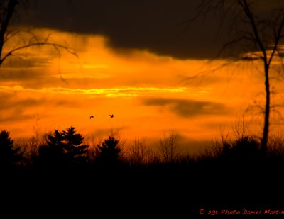 Paysages Canadien / Canadian Landscapes