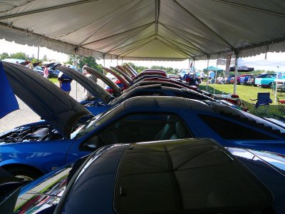 Under the Big Top - R/T Tent