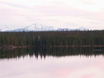 View from Ted's Patio.jpg