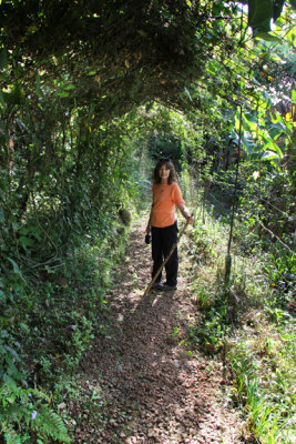 Judy on a trail in a lush forest typical of Costa Rica